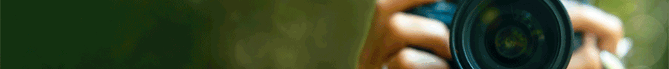 PI 59368 e 59369